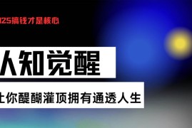 最新项目（13620期）认知觉醒，让你醍醐灌顶拥有通透人生，掌握强大的秘密！觉醒开悟课12-09中创网