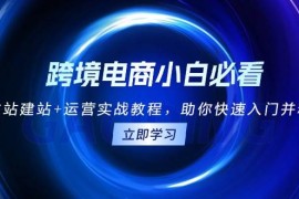 热门项目（13503期）跨境电商小白必看！独立站建站+运营实战教程，助你快速入门并精通11-29中创网