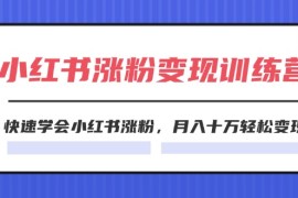 实战2024小红书19天涨粉变现特训营，快速学会小红书涨粉，月入十万轻松变现（42节）便宜07月24日福缘网VIP项目