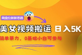 简单项目（12177期）【新思路】视频搬运+网盘拉新，靠搬运每日5000+简单暴力，0基础小白可参与08-16中创网