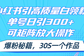 每天（11692期）小红书引高质量白领粉，单号日引300+，可放大操作，爆粉秘籍！30s一个作品便宜07月19日中创网VIP项目