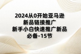 （11224期）2024从0开始亚马逊新品链接推广，新手小白快速推广新品的必备-15节，06月24日中创网VIP项目