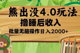 简单项目（13666期）熊出没4.0新玩法，软件加持，新手小白无脑矩阵操作，日入2000+12-13中创网