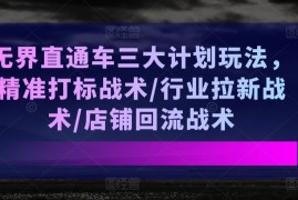 实战无界直通车三大计划玩法，精准打标战术/行业拉新战术/店铺回流战术，06月28日冒泡网VIP项目