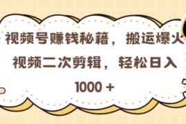 最新项目视频号0门槛，搬运爆火视频进行二次剪辑，轻松实现日入几张【揭秘】11-16冒泡网