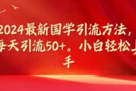 实战2024最新国学引流方法，每天引流50+，小白轻松上手【揭秘】便宜08月01日冒泡网VIP项目