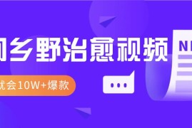 每天一学就会，1分钟教会你，10W+爆款田间乡野治愈视频（附提示词技巧）11-18福缘网