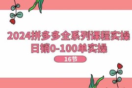 2024拼多多全系列课程实操，日销0-100单实操【16节课】，06月24日福缘网VIP项目