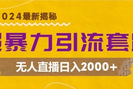 每日（12800期）超暴力引流套路，无人直播日入2000+09-30中创网