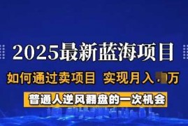 2025最新2025蓝海项目，普通人如何通过卖项目，实现月入过W，全过程【揭秘】03-01冒泡网