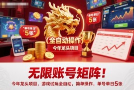 无限账号矩阵！今年龙头项目，游戏试玩全自动，简单操作，单号单日5张【揭秘】