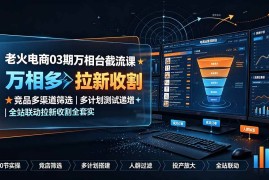 （19431期）老火电商03期万相台截流课：竞品多渠道筛选｜多计划测试递增｜全站联动拉新收割全套实操教学