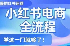 最新项目小红书电商全流程，精简易懂，从入门到精通，学这一门就够了02-28冒泡网