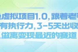 手机项目闲鱼虚拟项目1.0，跟着老手操作，有执行力，3-5天出收益，做离变现最近的赛道02-20冒泡网