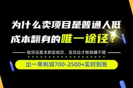 普通人如何靠互联网賺取自己的第一桶金！全类目实操型教学，看完你全都懂了！【揭秘】