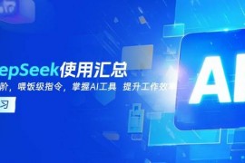 实战DeepSeek使用汇总，基础到进阶，提示词技巧，掌握AI工具提升工作效率02-19福缘网