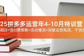 （16642期）2025拼多多运营年4-10月特训营：暴力起店+强付费策略+活动爆流+突破运营瓶颈，干货拉满