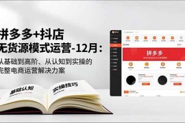 （16844期）拼多多+抖店无货源模式运营-12月：从基础到高阶、从认知到实操的完整电商运营解决方案