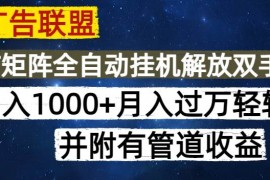 最新项目（14540期）海外广告联盟每天几分钟日入1000+无脑操作，可矩阵并附有管道收益03-16中创网