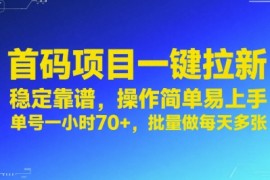 首码项目一键拉新，稳定靠谱，操作简单易上手，单号一小时70+，批量做每天多张【揭秘】