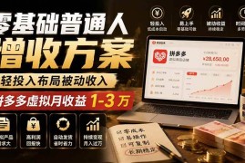 （19713期）零基础普通人增收方案，轻投入布局被动收入，多多虚拟月收益 1-3 万