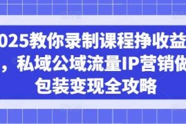 每日2025教你录制课程挣收益项目，私域公域流量IP营销做图包装变现全攻略03-11冒泡网