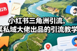 小红书三角洲引流，某私域大佬出品的引流教学
