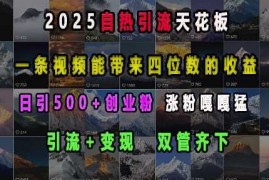 创业项目2025自热引流天花板，一条视频能带来四位数的收益，引流+变现双管齐下，日引500+创业粉，涨粉嘎嘎猛12-28冒泡网