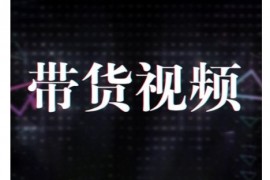 赚钱项目原创短视频带货10步法，短视频带货模式分析提升短视频数据的思路以及选品策略等02-10冒泡网