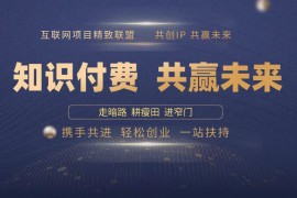 2024最新（13944期）2025年如何通过“知识付费”卖项目月入十万、年入百万，布局2025与&#8230;01-08中创网