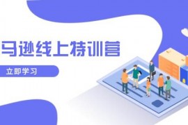 创业项目（14034期）亚马逊线上特训营，新品成长与库存规划，提升品牌推广能力，实现业务增长01-23中创网