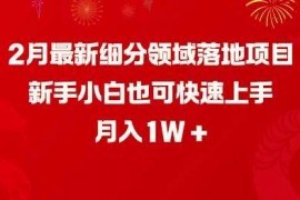 2025最新2月最新细分领域落地项目，新手小白也可快速上手，月入1W02-23冒泡网