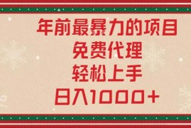 最新项目（13773期）年前最暴力的项目，免费代理，轻松上手，日入1000+12-23中创网