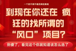 马上26年了，你还在找所谓的风口项目？别傻了，看完这个你全都懂了！【揭秘】