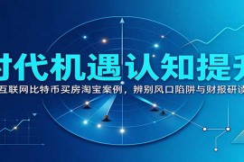 时代机遇认知提升：复盘互联网比特币买房淘宝案例，辨别风口陷阱与财报研读思路