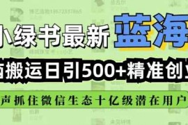 简单项目小绿书无脑搬运引流，全自动日引500精准创业粉，微信生态内又一个闷声发财的机会02-12冒泡网