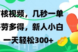 简单项目审核视频，几秒一单，多劳多得，新人小白一天轻松300+12-28福缘网