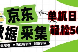 闲置电脑变现！单机单天收益500+，京东数据采集优化，全天纯挂G【揭秘】