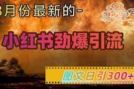 每日小红书超劲爆引流手段，图文日引300+轻松变现1W03-04冒泡网