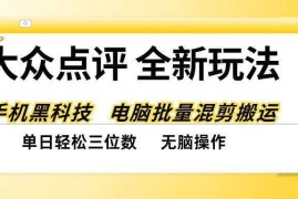 （20893期）大众点评全网最新玩法，黑科技代替人工，全程无脑搬运，单日三位数以上