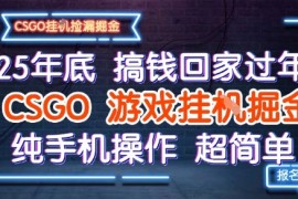 25年底搞钱回家过年，CSGO游戏挂G掘金，纯手机操作超简单【揭秘】