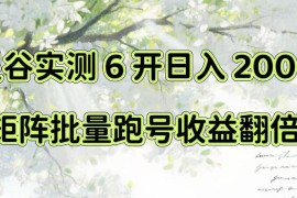 一台电脑就能做！灵谷实测6开日入200+，矩阵批量跑号收益翻倍【揭秘】