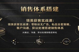 领英获客实战课：零粉丝无广告，私信全套策略，客户沟通、异议处理搭建销售体系