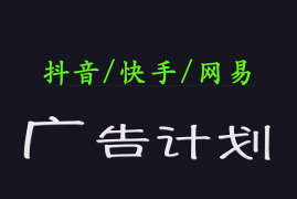 实战2025短视频平台运营与变现广告计划日入1000+，小白轻松上手03-08福缘网