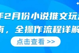 创业项目25年2月份小说推文玩法指南，全操作流程详解02-11冒泡网