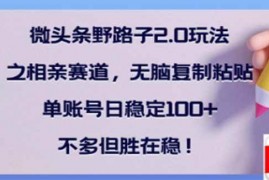 简单项目（14334期）微头条野路子2.0玩法之相亲赛道，无脑搬砖复制粘贴，单账号日稳定300+…02-26中创网