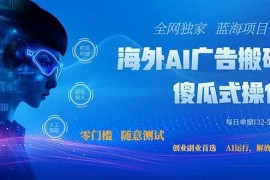 （20415期）全网独家！2026美金搬砖新项目，低门槛高回报，长久绿色稳定，用副业改写人生