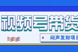 微信视频号带货项目，轻松日赚赚2000+，这个挣钱入口很多伙伴都在闷声发财