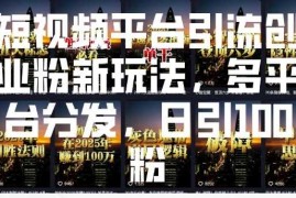 每日短视频平台引流创业粉新玩法，多平台分发，日引100粉01-14冒泡网