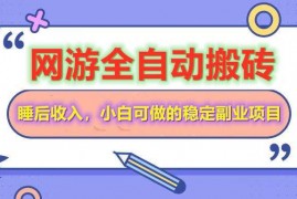 实战（14562期）网游全自动打金搬砖，睡后收入，操作简单小白可做的长期副业项目03-17中创网